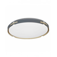 Потолочный светильник Lumina Deco Paneli LDC 8063-48W BL