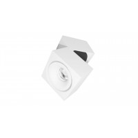 Накладной светильник Lumina Deco Edford LDC 8056-GYN-10WCOB D100*W110 WT