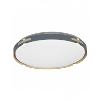 Потолочный светильник Lumina Deco Paneli LDC 8063-48W BL