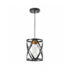 Подвесной светильник Lumina Deco Astila LDP 1242-1 BK+MD