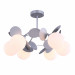 Потолочная люстра Satellite Freya FR5165PL-06S