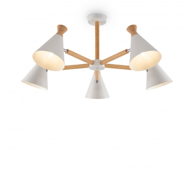 Люстра на штанге  Rise Freya FR5169PL-05W
