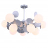 Потолочная люстра Satellite Freya FR5165PL-10S