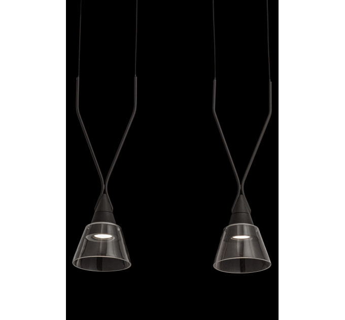 Подвесной светильник Maytoni P063PL-02B