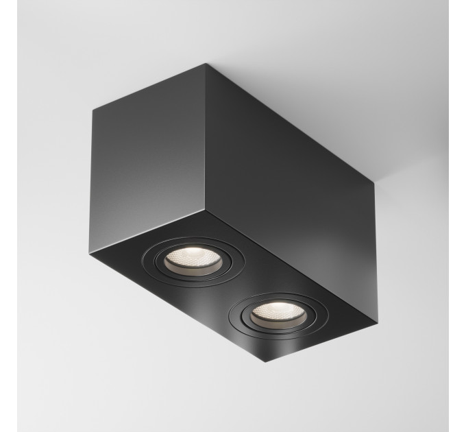 Потолочный светильник Technical C017CL-02B