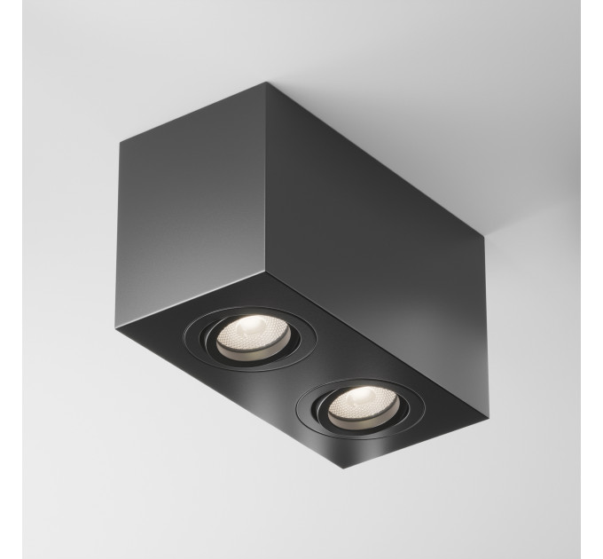 Потолочный светильник Technical C017CL-02B