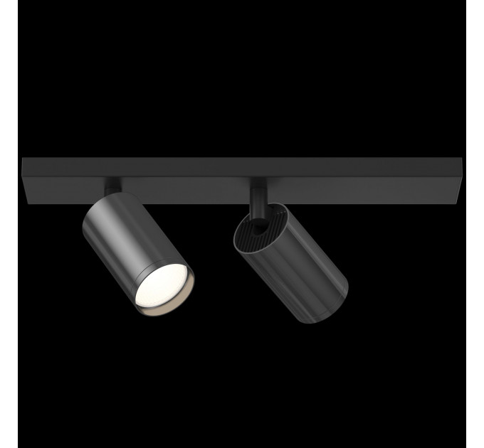 Потолочный светильник Technical C051CL-02BGF