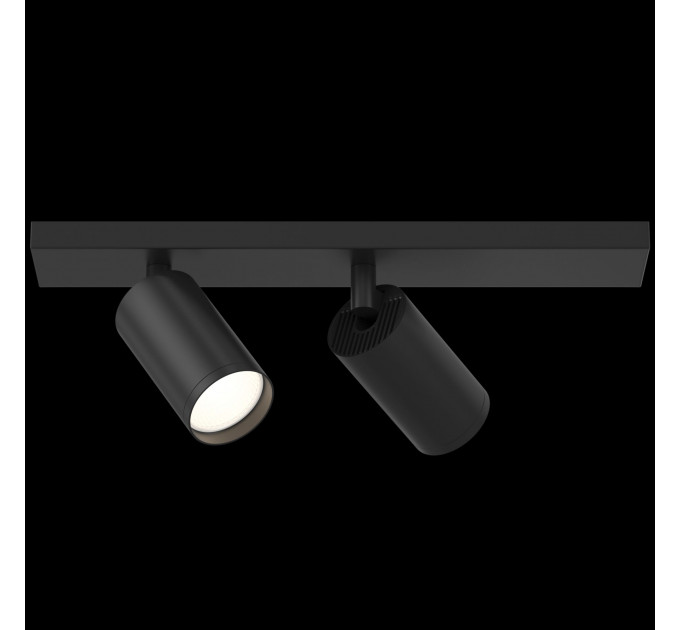 Потолочный светильник Technical C051CL-02B