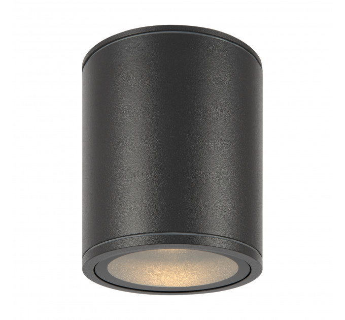 Потолочный светильник Outdoor O306CL-L12GF