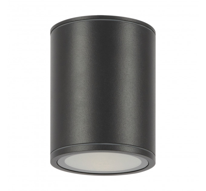 Потолочный светильник Outdoor O306CL-L12GF