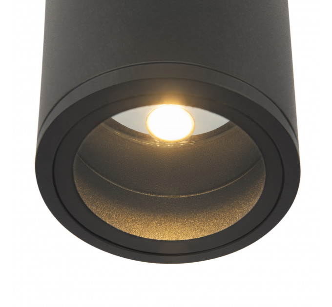 Потолочный светильник Outdoor O306CL-L12GF