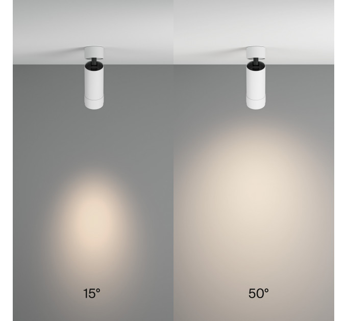 Потолочный светильник Technical C055CL-L12W4K-Z-W