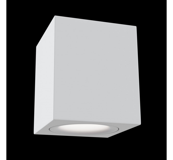 Накладной светильник Technical C013CL-01W