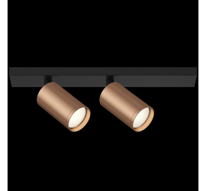 Потолочный светильник Technical C051CL-02BC