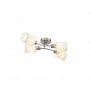 Потолочная люстра Vivian Freya 4*60W Е14 FR5003CL-04N