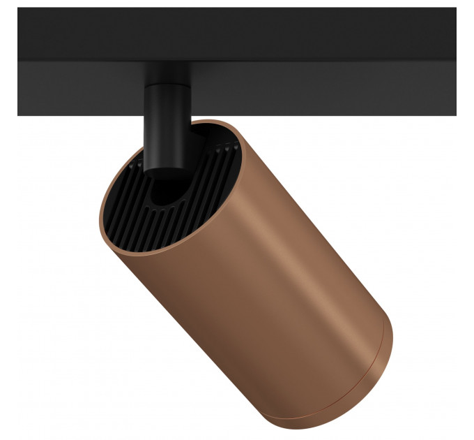 Потолочный светильник Technical C051CL-02BC