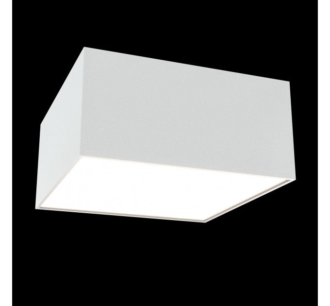 Потолочный светильник Technical C067CL-L12W4K