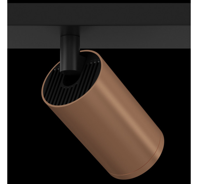 Потолочный светильник Technical C051CL-02BC