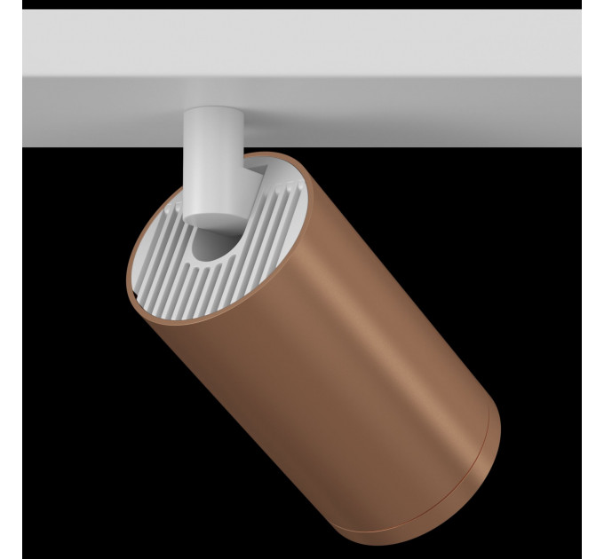 Потолочный светильник Technical C051CL-2WC