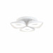 Потолочная люстра Bettina Freya LED 50W FR6008CL-L50W