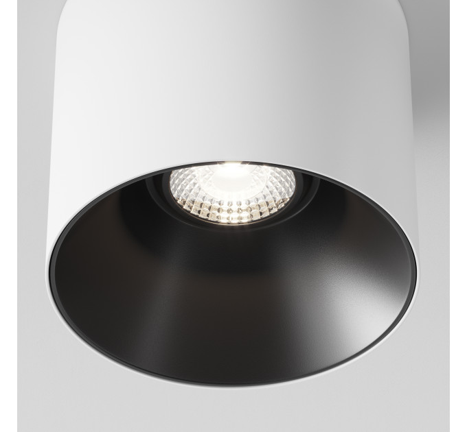Потолочный светильник Technical C064CL-01-15W4K-D-RD-WB