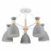 Потолочная люстра Delia Freya 5*60W Е27 FR5033CL-05W