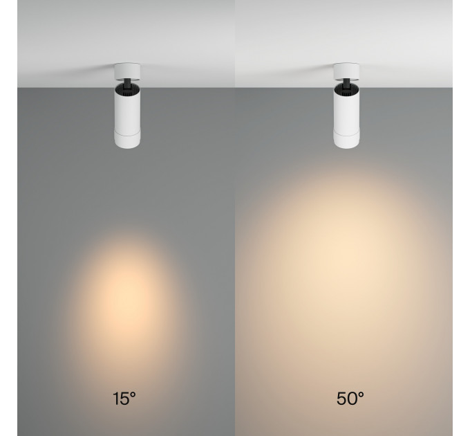 Потолочный светильник Technical C055CL-L12W3K-Z-W