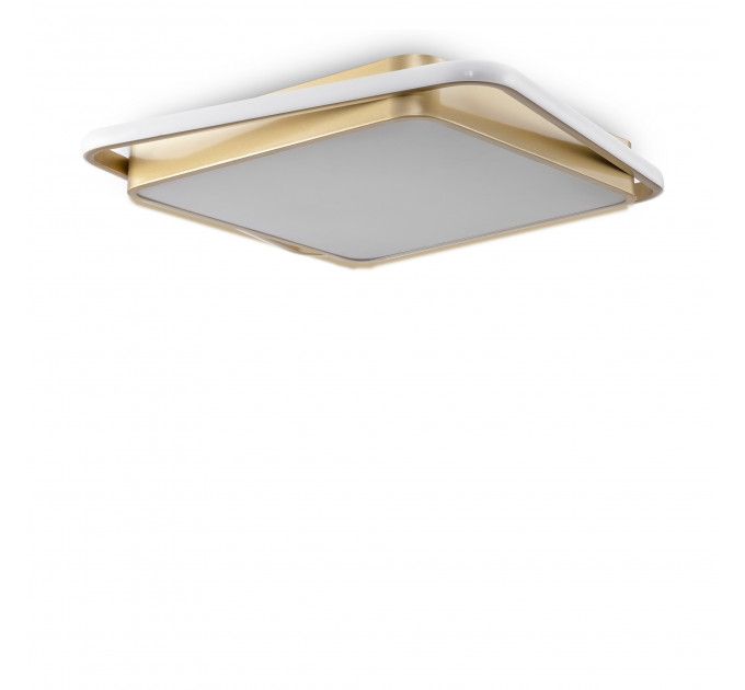 Потолочный светильник Freya FR10026CL-L93G