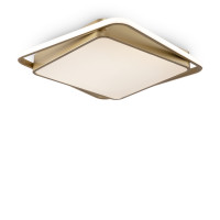 Потолочный светильник Freya FR10026CL-L93G
