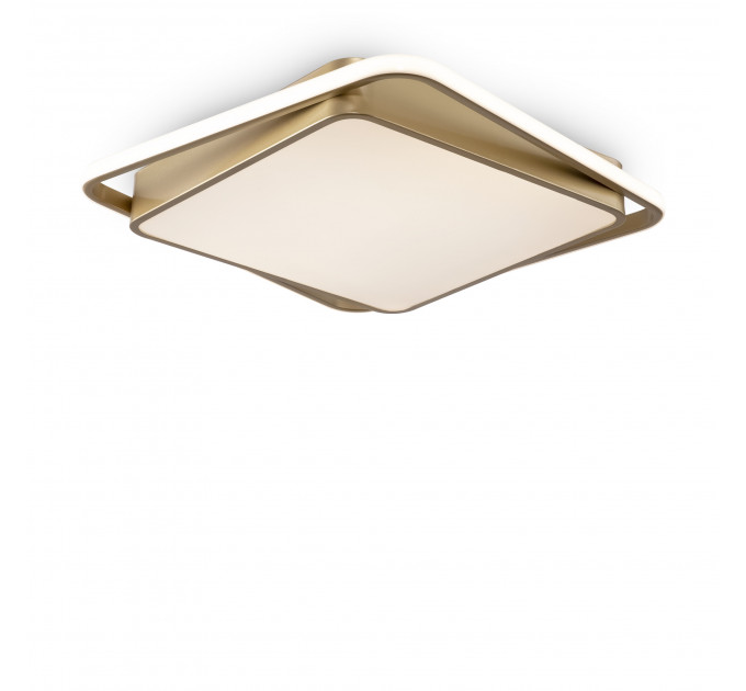 Потолочный светильник Freya FR10026CL-L93G
