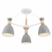 Потолочная люстра Delia Freya 3*60W Е27 FR5033CL-03W
