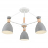 Потолочная люстра Delia Freya 3*60W Е27 FR5033CL-03W
