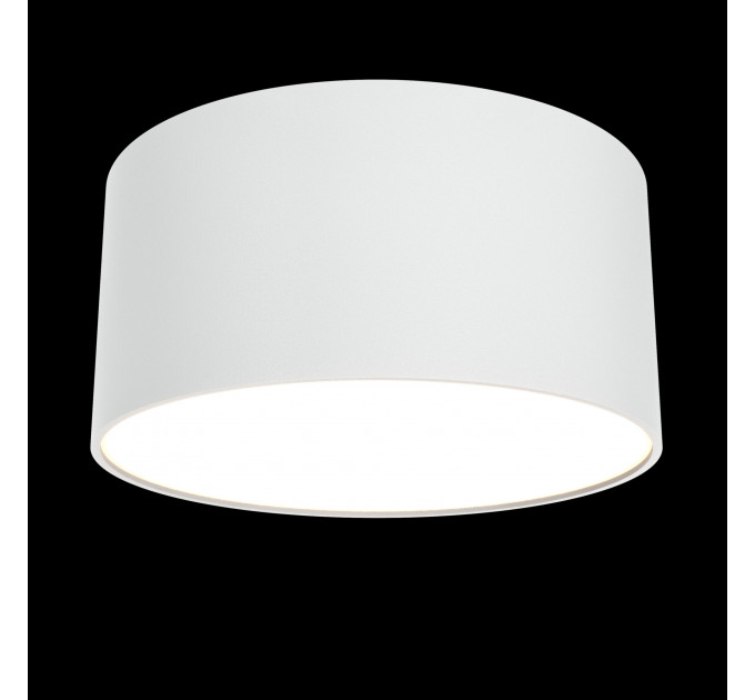 Потолочный светильник Technical C032CL-L12W3K