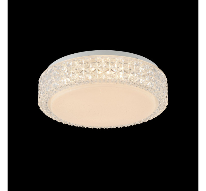 Потолочный светильник Alicia Freya LED 12W FR6309-CL01-12W-W