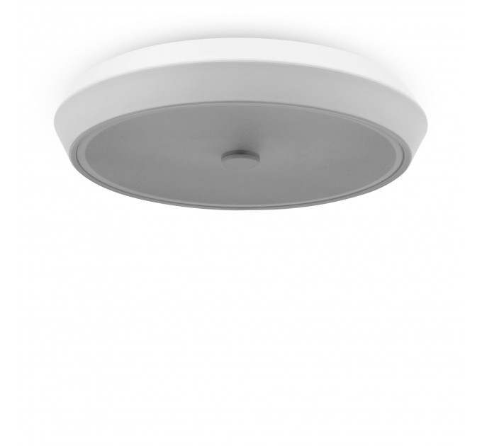 Потолочный светильник Freya FR10012CL-L24W