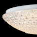Потолочный светильник Alicia Freya LED 12W FR6310-CL01-12W-TR