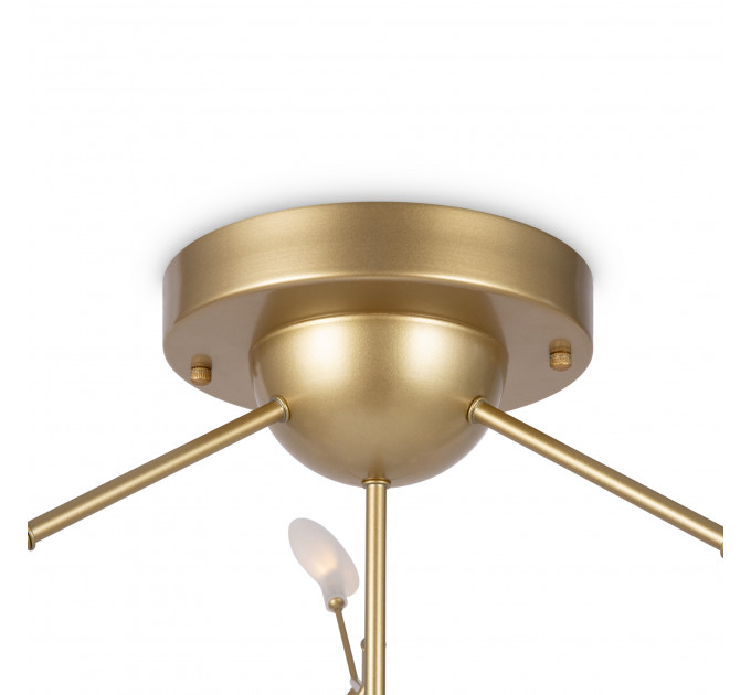 Потолочная люстра Florencia Freya FR5049CL-36G