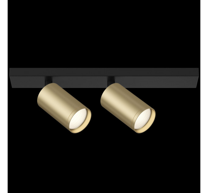 Потолочный светильник Technical C051CL-02BMG