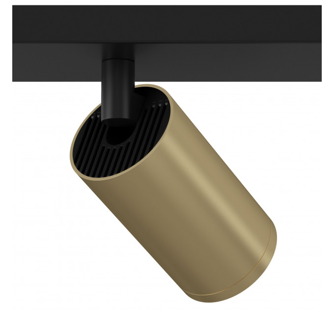 Потолочный светильник Technical C051CL-02BMG