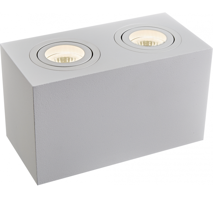 Потолочный светильник Technical C017CL-02W