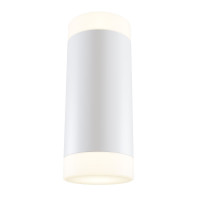 Настенный светильник Dafne Technical C027WL-L10W
