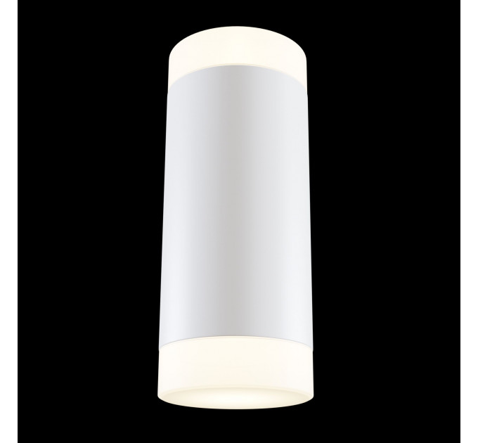 Настенный светильник Dafne Technical C027WL-L10W