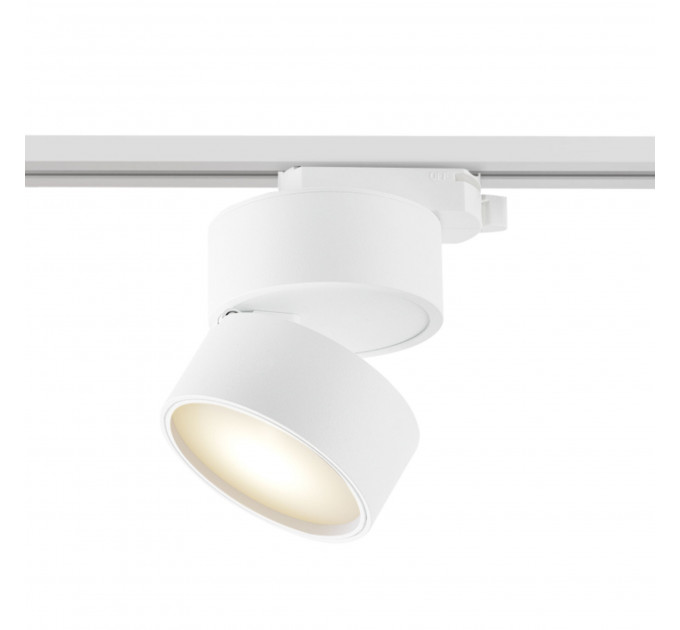 Трековый светильник Track lamps Technical LED TR007-1-12W3K-W