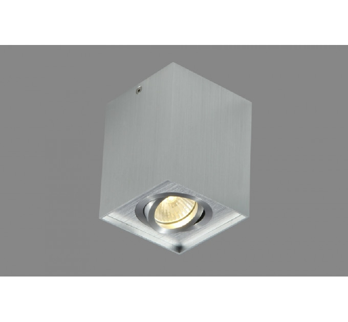 Накладной светильник Crystal Lux CLT 420C AL