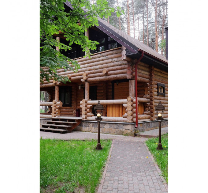 Уличный светильник Шато Chiaro 3*60W E14 IP44 800040203