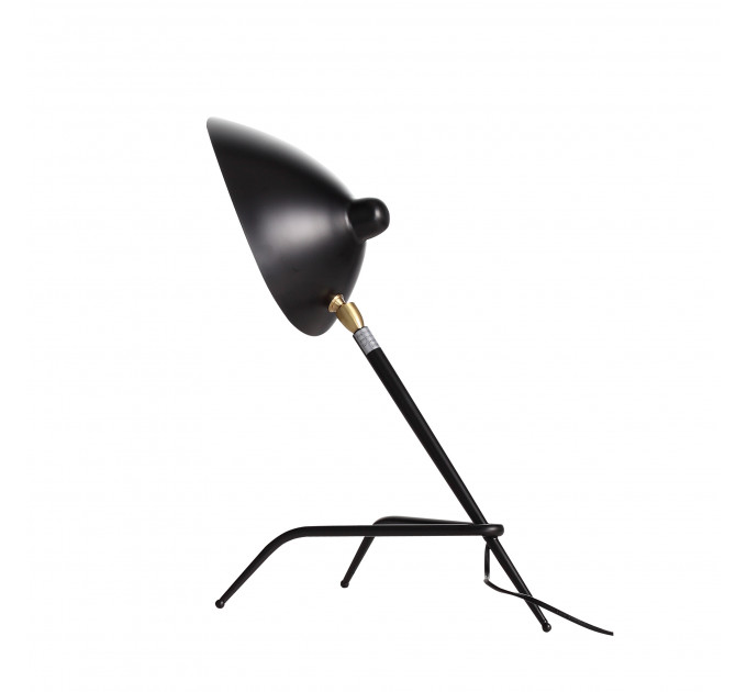 Настольная лампа Spruzzo ST-Luce 1*40W E27 SL305.404.01