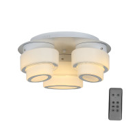 Потолочный светильник Ovale ST-Luce LED 36W SL546.502.03