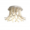 Потолочная люстра Filiali ST-Luce LED SL827.502.20