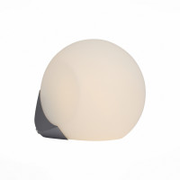 Настенный светильник Orbe ST-Luce LED SL809.501.01
