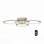 Потолочная люстра Twiddle ST-Luce LED SL867.202.04